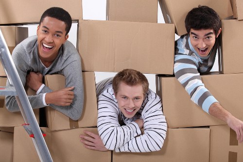 Van transport service for boxes and household items in Mottingham