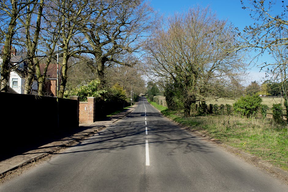 A quiet residential street with a narrow tarmac road marked by a dashed white line down the center, flanked by leafless and budding trees casting shadows on the road surface on a bright, sunny day. On the left side, there's a brick wall and fencing surrounding a house partially visible behind trees with light-colored siding and dark roofing. The right side features a grassy verge with some small bushes and taller trees extending onto the pavement. The scene is calm with no vehicles or pedestrians visible, suggesting a typical area for home relocations where a Man with Van Mottingham could be involved in furniture transport and packing and moving processes, especially during the loading or unloading stages of house removals, with a focus on safe, efficient home relocation in the SE9 area.