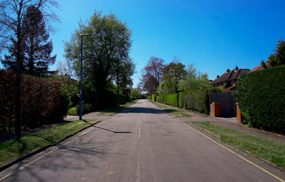 A quiet residential street with a narrow tarmac road marked by a dashed white line down the center, flanked by leafless and budding trees casting shadows on the road surface on a bright, sunny day. On the left side, there's a brick wall and fencing surrounding a house partially visible behind trees with light-colored siding and dark roofing. The right side features a grassy verge with some small bushes and taller trees extending onto the pavement. The scene is calm with no vehicles or pedestrians visible, suggesting a typical area for home relocations where a Man with Van Mottingham could be involved in furniture transport and packing and moving processes, especially during the loading or unloading stages of house removals, with a focus on safe, efficient home relocation in the SE9 area.